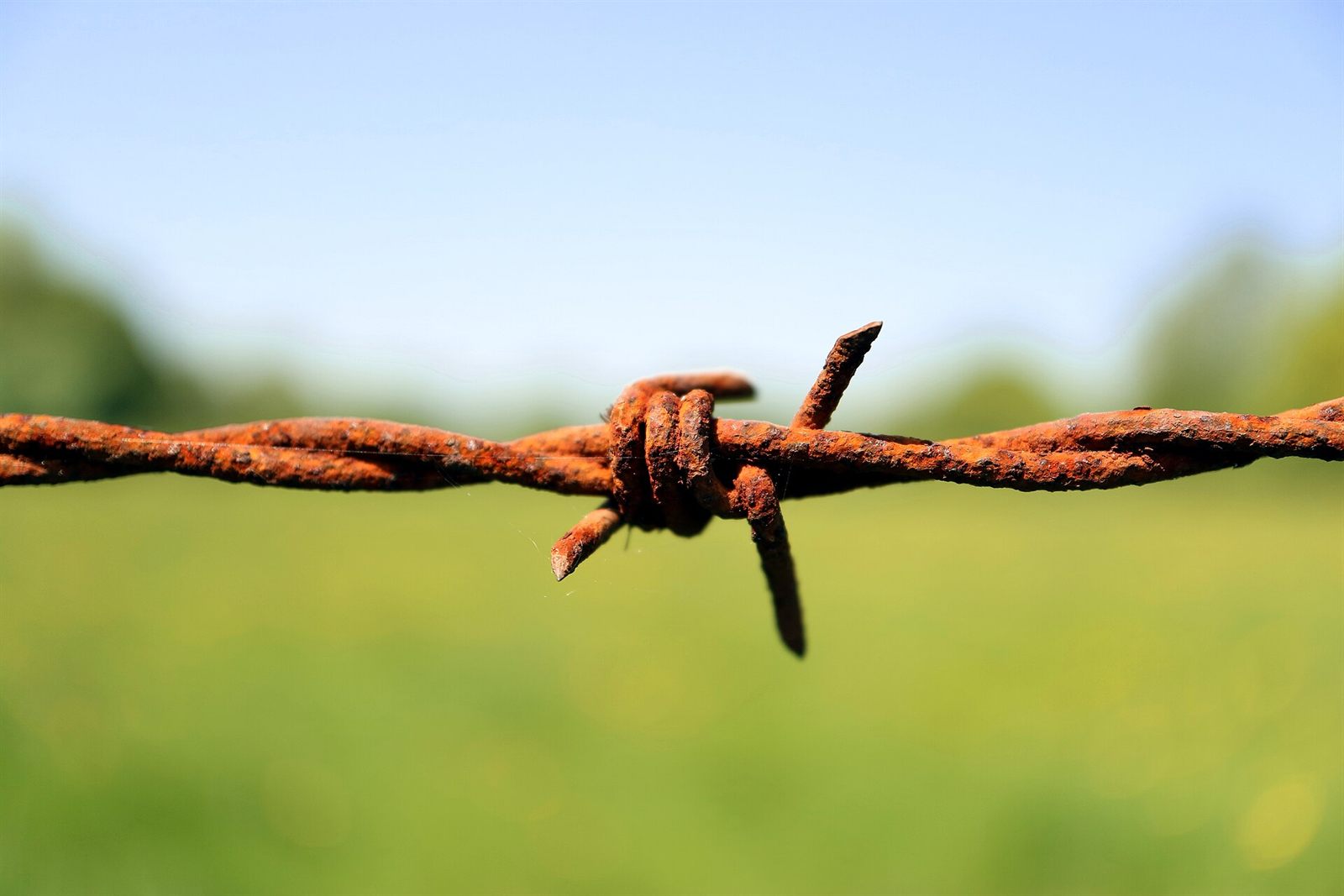 A barbed wire fence line