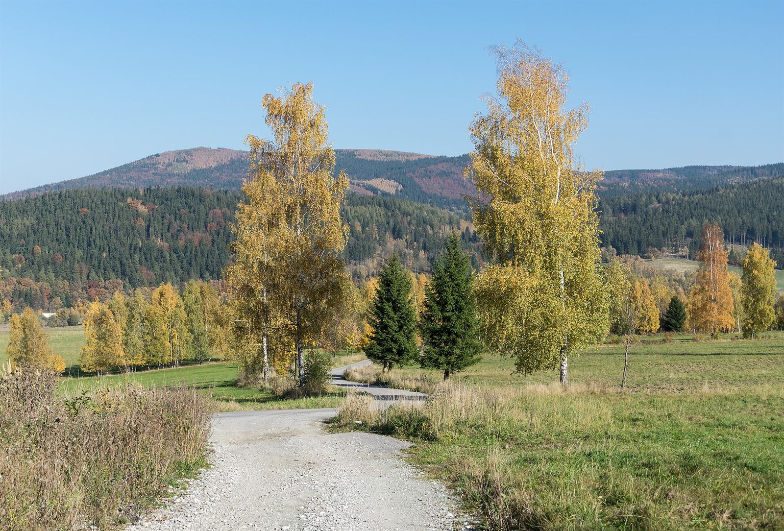 The county gravel road at the section line